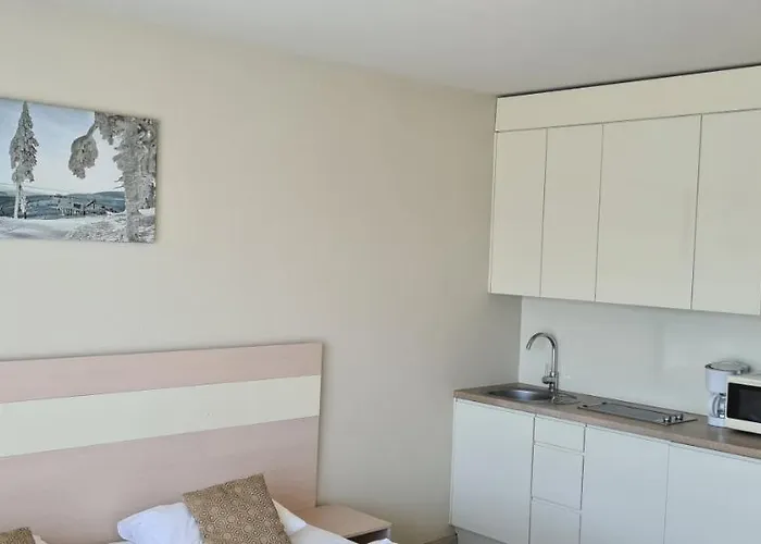 Appartement Czarna Gora S8
